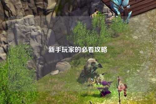 新手玩家的必看攻略